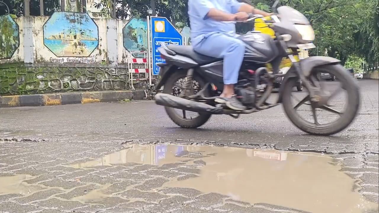 मात्र प्रत्यक्षात हा दावा पोकळ ठरल्याचे चित्र दिसत आहे. गणेश मंडळांना आणि नागरिकांना गणरायाचे आगमन खड्ड्यांतूनच करावे लागले. त्यानंतर आता विसर्जन मिरवणुकाही याच खड्ड्यांतून मार्ग काढताना दिसत आहेत.