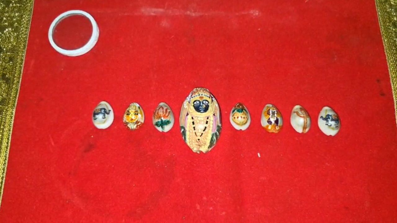 राजेश भूपेंद्र पाटील यांनी आई तुळजाभवानी, महालक्ष्मी, रेणुका माता आणि अर्धशक्तीपीठ असलेल्या साप्तशृंगी माता या देवींच्या प्रतिमा कवडीवर साकारल्या आहेत. यासोबतच त्यांनी मातेचे प्रतीक असलेले कळस, कमल, गजलक्ष्मी आणि त्रिशूल यांचेही चित्रण केले आहे.