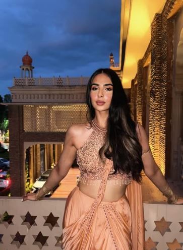 लैला फैजल ही अभिषेक शर्माची गर्लफ्रेंड असल्याचे बोलले जात आहे. लैला फैजल ही दिल्लीची असून ती एक मॉडेल आहे. आयपीएलच्या सामन्यांदरम्यान लैला फैजल अभिषेक शर्मासाठी चिअर करताना अनेकवेळा स्पॉट झालेली आहे. 