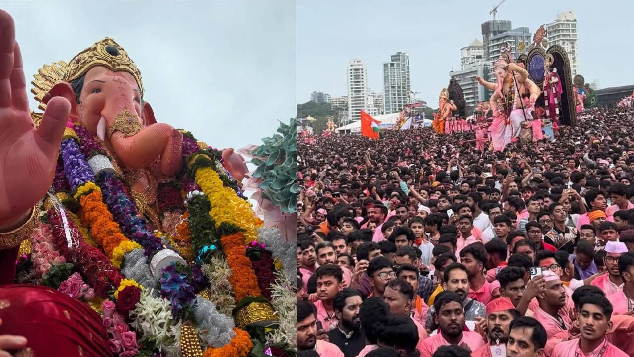 शिखर पहाडिया हा स्मृती शिंदे यांचा मुलगा आणि महाराष्ट्राचे माजी मुख्यमंत्री सुशिलकुमार शिंदे यांचा नातू आहे. स्मृती शिंदे या सुशिलकुमार शिंदे यांच्या कन्या आहेत. शिखरचा छोटा भाऊ वीर पहाडियाने नुकतंच बॉलिवूडमध्ये पदार्पण केलं आहे. 
