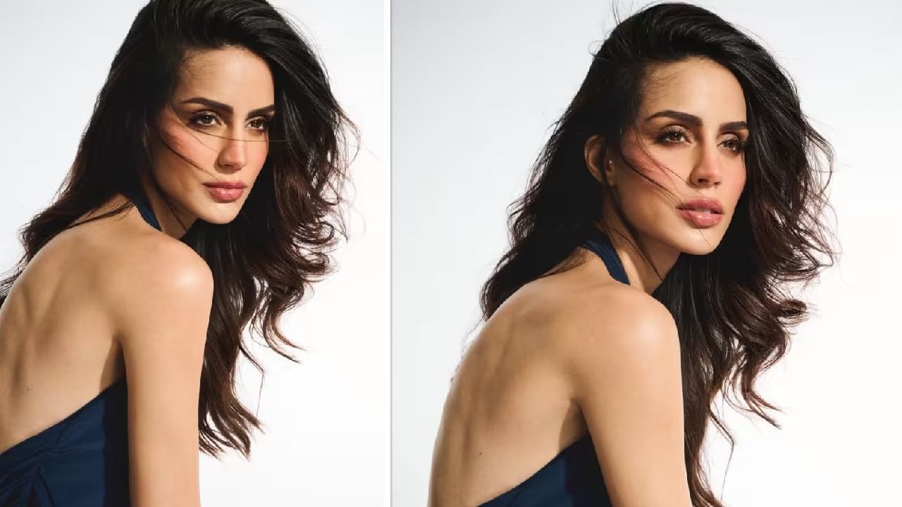 इन्स्टाग्रामवर लारिसा हिचे 654K फॉलोअर्स आहेत. ज्यामध्ये एक आर्यन खान देखील आहेत. आर्यनसोबतच लारिसा हिने  शाहरुख खान, सुहाना खान आणि किंग खानची मॅनेजर पूजा ददलानी देखील फॉलो करते. 