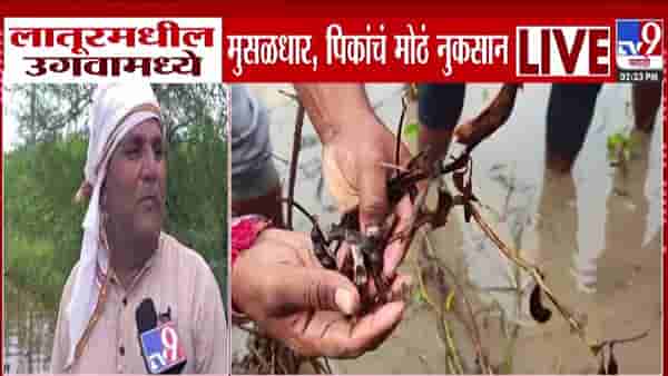 Vidarbha Heavy Rain: विदर्भालाही झोडपलं.. लातूर, अकोल्यात परतीच्या पावसाचा हाहाकार, कापूस सोयाबीन पिकाला मोठा फटका