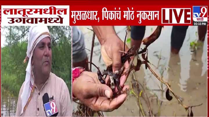 Vidarbha Heavy Rain: विदर्भालाही झोडपलं.. लातूर, अकोल्यात परतीच्या पावसाचा हाहाकार, कापूस सोयाबीन पिकाला मोठा फटका Vidarbha Heavy Rain: विदर्भालाही झोडपलं.. लातूर, अकोल्यात परतीच्या पावसाचा हाहाकार, कापूस सोयाबीन पिकाला मोठा फटका