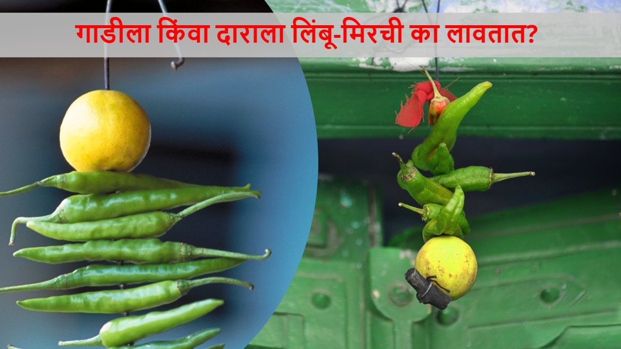 गाडीला किंवा दाराला लिंबू-मिरची का लावतात? नजर की आणखी काही? 99% लोकांना हे महत्त्वाचं कारण नसेल माहित