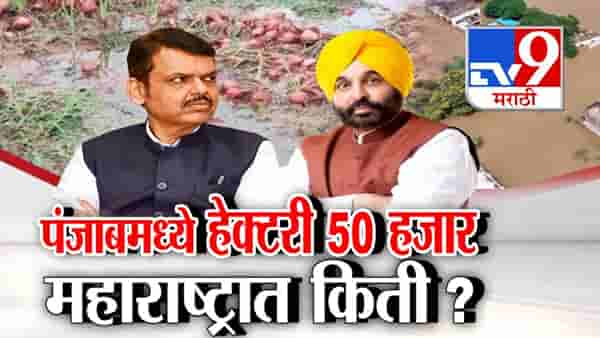 Maharashtra Flood Relief : पंजाबमध्ये हेक्टरी 50 हजार रूपयांची मदत, महाराष्ट्रातील बळीराजाला किती?