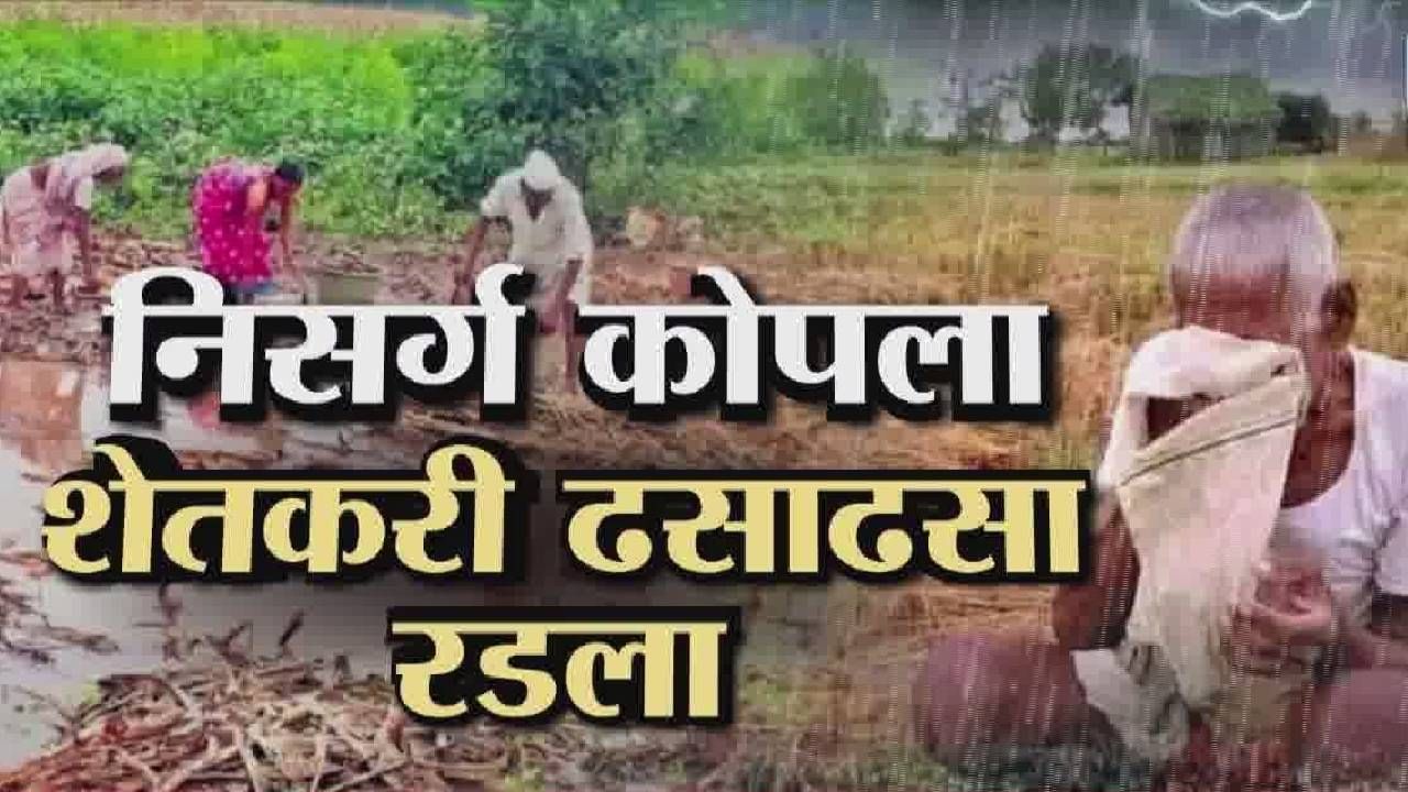 Maharashtra Foods : राज्यभरात पावसाचं थैमान, निसर्ग कोपला, शेतकरी ढसाढसा रडला, बघा स्तब्ध करून टाकणारी परिस्थिती