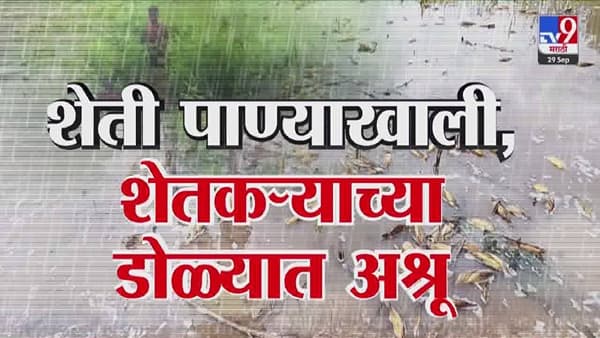 Maharashtra Flood : राज्यभरात पावसाचं थैमान अन् बळीराजाला मदतीची आस, शेती पाण्यात गेल्यानं हवालदिल; फोडला हंबरडा