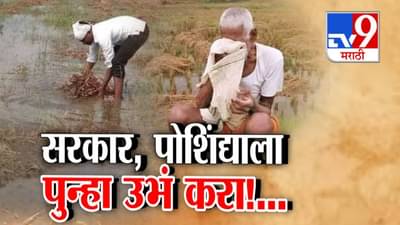 Maharashtra Floods : शेती गेली, घरं खचली, गुरं-ढोरं मेली… पंचनामे कसले करणार? उद्ध्वस्त शेतकऱ्यांचे अश्रू थांबेना