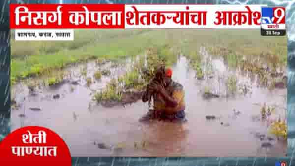 Maharashtra Flood : महाराष्ट्रात अतिवृष्टी, अस्मानी संकटात बळीराजा खचला, एकच आक्रोश अन् अश्रू थांबेना