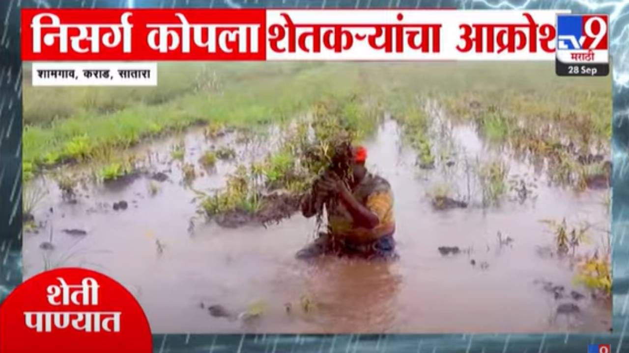 Maharashtra Flood : महाराष्ट्रात अतिवृष्टी, अस्मानी संकटात बळीराजा खचला, एकच आक्रोश अन् अश्रू थांबेना