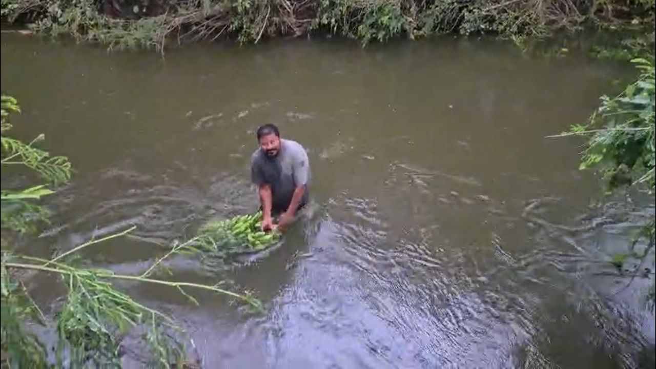 महाराष्ट्रात सुरू असलेल्या संततधार पावसामुळे अनेक जिल्ह्यांमध्ये पूरस्थिती निर्माण झाली आहे. या नैसर्गिक आपत्तीमुळे जनजीवन पूर्णपणे विस्कळीत झाले असून, विशेषतः मराठवाडा आणि उत्तर महाराष्ट्रातील जिल्ह्यांना मोठा फटका बसला आहे.