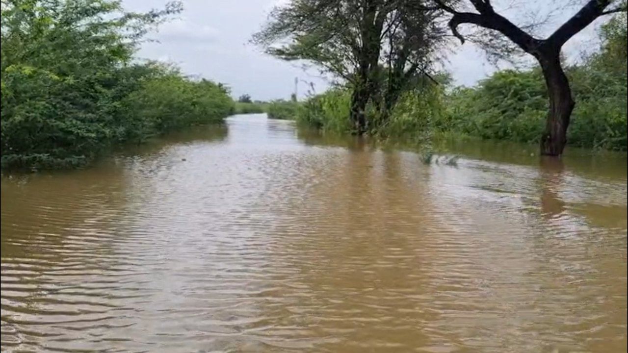 मुख्यमंत्री देवेंद्र फडणवीस यांनी अतिवृष्टीमुळे बाधित झालेल्या ३१ लाख ६४ हजार शेतकऱ्यांसाठी २,२१५ कोटी रुपयांची मदत जाहीर केली आहे.