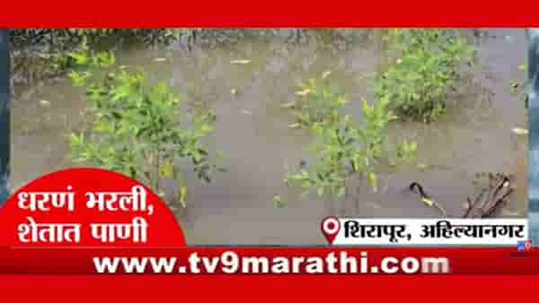 मराठवाड्यासह पश्चिम महाराष्ट्रातल्या दुष्काली पट्ट्यात मुसळधार; काय आहे परिस्थिती?
