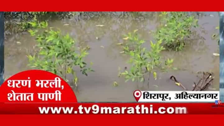 मराठवाड्यासह पश्चिम महाराष्ट्रातल्या दुष्काली पट्ट्यात मुसळधार; काय आहे परिस्थिती? मराठवाड्यासह पश्चिम महाराष्ट्रातल्या दुष्काली पट्ट्यात मुसळधार; काय आहे परिस्थिती?