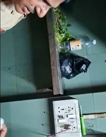 मीरा भाईंदरमध्ये एक अजब प्रकार समोर आला आहे. या भागातील टारझन ऑर्केस्ट्रा बारवर काशिमीरा पोलिसांनी अचानकपणे छापा टाकला आहे. पोलिसांनी छापा टाकल्यानंतर अनेक धक्कादायक बाबी समोर आल्या आहेत.