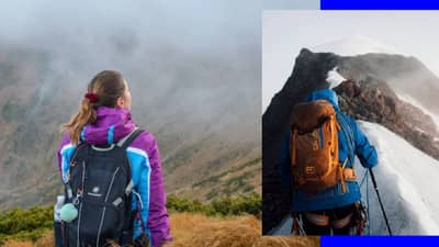 हा तर चमत्कारच! गुराख्याला पडले स्वप्न नि 19 वर्षानंतर गायब झालेल्या महिलेचा असा लागला शोध, सर्वच झाले अचंबित