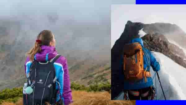 हा तर चमत्कारच! गुराख्याला पडले स्वप्न नि 19 वर्षानंतर गायब झालेल्या महिलेचा असा लागला शोध, सर्वच झाले अचंबित