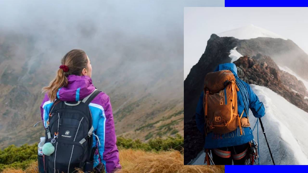 हा तर चमत्कारच! गुराख्याला पडले स्वप्न नि 19 वर्षानंतर गायब झालेल्या महिलेचा असा लागला शोध, सर्वच झाले अचंबित