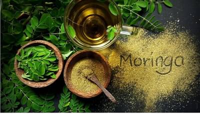 रोज सकाळी प्या शेवग्याच्या पानांचे पाणी, एक दोन नव्हे तर तुमच्या शरीराला मिळतील हे 7 आश्चर्यकारक फायदे