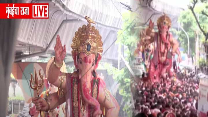 Mumbai Cha Raja Visarjan 2025 : ढोल-ताशा, गुलाल अन् पहिला मान... 'मुंबईचा राजा' मार्गस्थ, बघा विसर्जनाचा थाट Mumbai Cha Raja Visarjan 2025 : ढोल-ताशा, गुलाल अन् पहिला मान... 'मुंबईचा राजा' मार्गस्थ, बघा विसर्जनाचा थाट