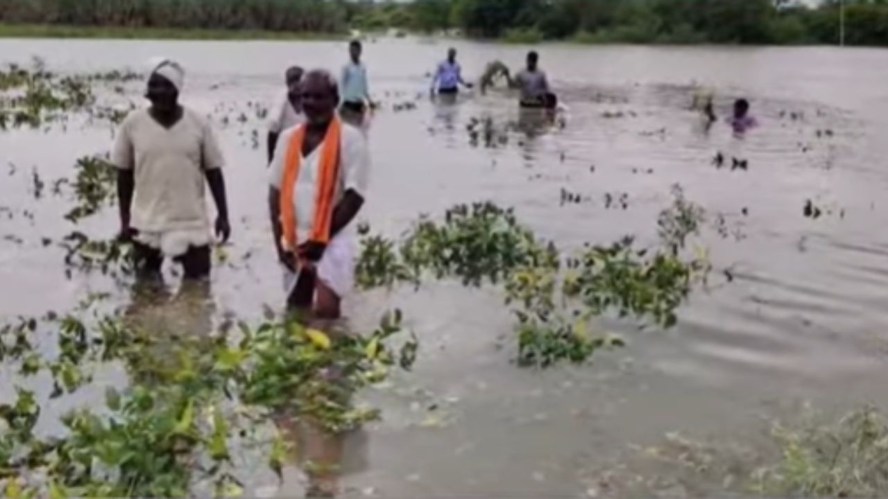 गोदावरी नदीला भीषण पूर! विष्णुपुरी प्रकल्पाचे दरवाजे उघडल्याने शेतात पाणी गोदावरी नदीला भीषण पूर! विष्णुपुरी प्रकल्पाचे दरवाजे उघडल्याने शेतात पाणी