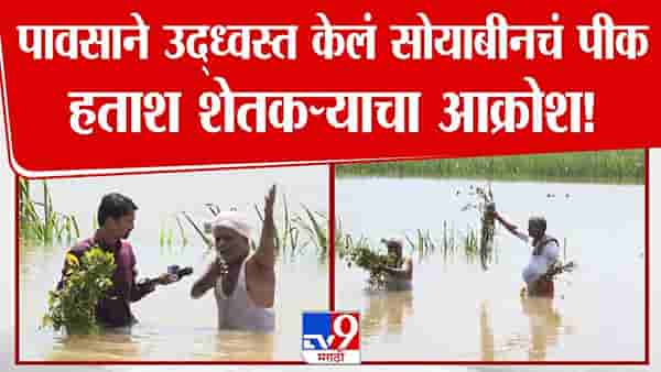 Nanded Flood : हाता-तोंडाशी आलेला घास निसर्गानं हिरावला, अस्मानी संकटानं बळीराजाचे अश्रू थांबेना… बघा आक्रोश