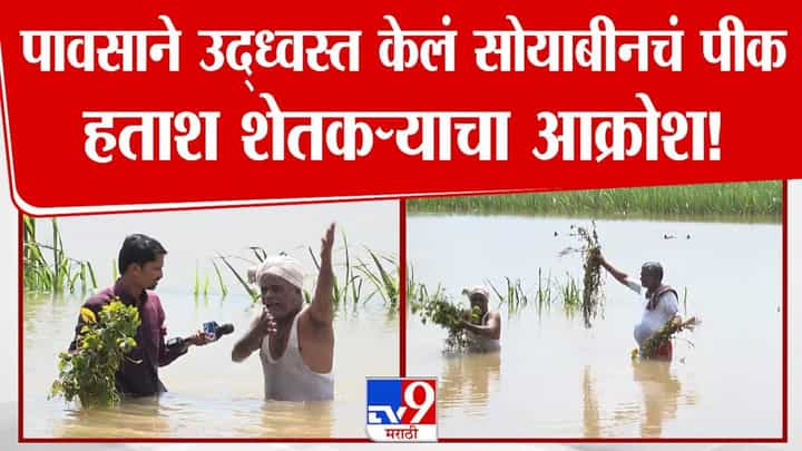 Nanded Flood : हाता-तोंडाशी आलेला घास निसर्गानं हिरावला, अस्मानी संकटानं बळीराजाचे अश्रू थांबेना... बघा आक्रोश Nanded Flood : हाता-तोंडाशी आलेला घास निसर्गानं हिरावला, अस्मानी संकटानं बळीराजाचे अश्रू थांबेना... बघा आक्रोश