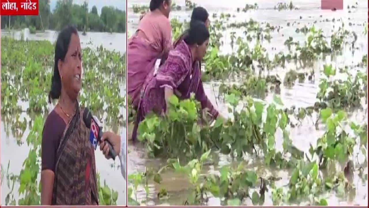 Nanded Flood : पुरामुळं पिकं वाहून गेली, सगळं संपलं... महिलांचा आक्रोश, अश्रू थांबेना म्हणाल्या, लाडक्या भावांनी...