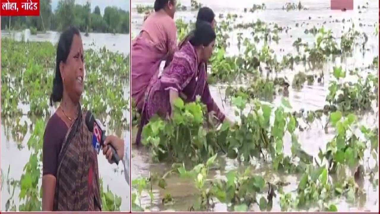 Nanded Flood : पुरामुळं पिकं वाहून गेली, सगळं संपलं... महिलांचा आक्रोश, अश्रू थांबेना म्हणाल्या, लाडक्या भावांनी... Nanded Flood : पुरामुळं पिकं वाहून गेली, सगळं संपलं... महिलांचा आक्रोश, अश्रू थांबेना म्हणाल्या, लाडक्या भावांनी...