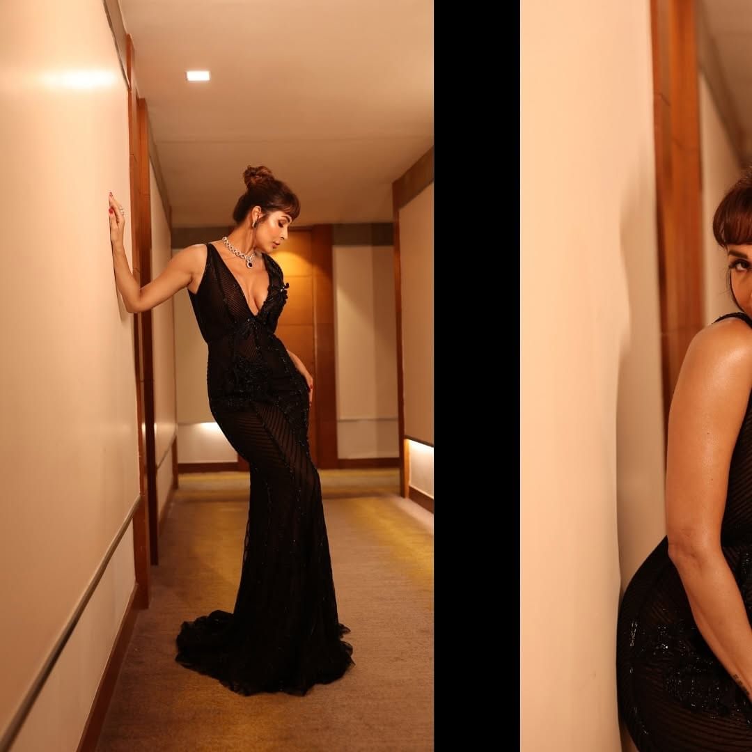 मलायका हिला घटस्फोट दिल्यानंतर अरबाज याने मेकअप आर्टिस्ट शुरा खान हिच्यासोबत लग्न केलं. आता अरबाज दुसऱ्यांदा बाबा होणार आहे. शुरा आणि अरबाज यांचे देखील अनेक फोटो आणि व्हिडीओ सोशल मीडियावर व्हायरल होत असतात. 