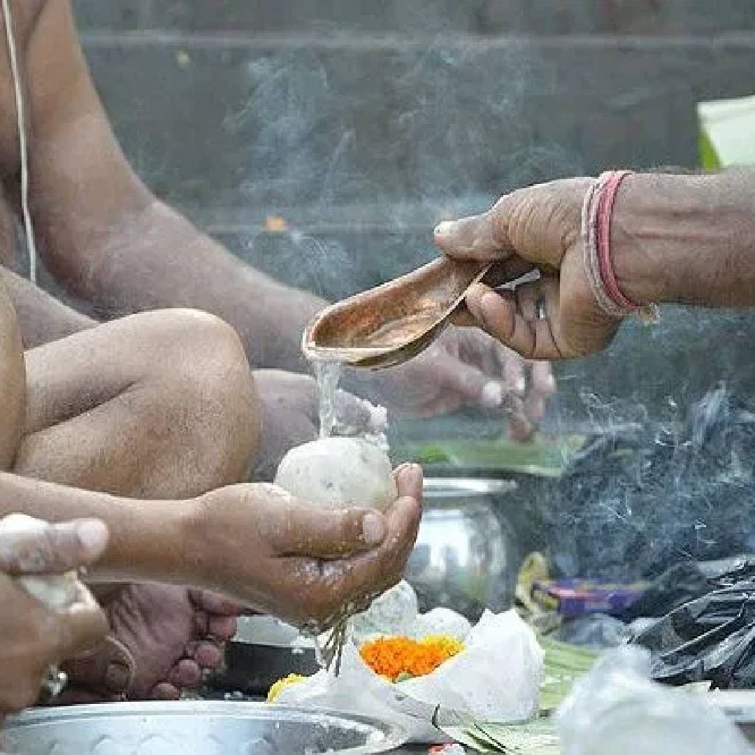 पितृ दोषातून मुक्ती मिळवण्यासाठी पितरांच श्राद्ध कर्म नेहमी वेळेवर करा.  त्यांच्या तिथिला श्राद्ध आणि तर्पण देण खूप आवश्यक असतं. सोबतच पितृ पक्षात ब्राह्मणांना घरी आमंत्रित करा. त्यांना आदरपूर्वक भोजन द्या. 