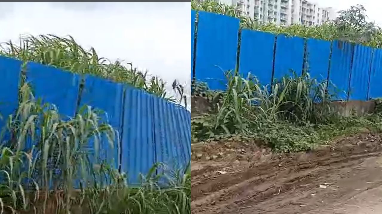 पुण्यातील पेशवेकालीन जमिनीवर डोळा, वाद पोहोचला थेट कोर्टात, नेमकं प्रकरण काय?