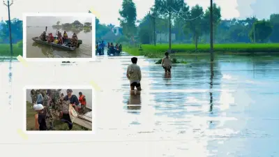 Punjab Flood: 9 जिल्ह्यांमध्ये पूर, 1312 गावे पाण्याखाली, 30 जणांचा मृत्यू; हा उडता नव्हे बुडता पंजाब