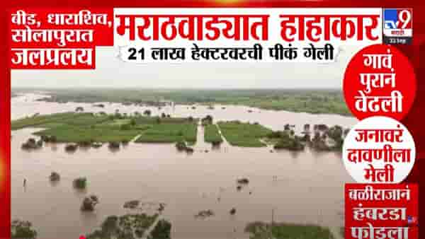 Marathwada Flood : मराठवाड्यात जलप्रलय, गावं पुरानं वेढली, जनावरं दगावली अन् बळीराजानं हंबरडा फोडला