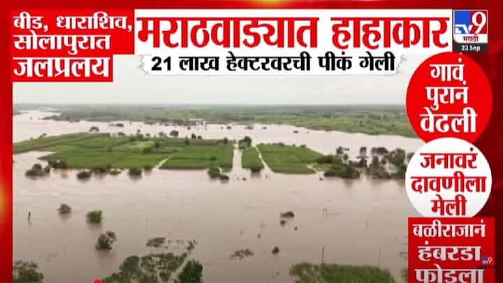 Marathwada Flood : मराठवाड्यात जलप्रलय, गावं पुरानं वेढली, जनावरं दगावली अन् बळीराजानं हंबरडा फोडला Marathwada Flood : मराठवाड्यात जलप्रलय, गावं पुरानं वेढली, जनावरं दगावली अन् बळीराजानं हंबरडा फोडला