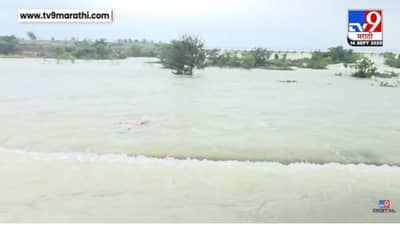 धाराशिवमध्ये रात्रभर जोरदार पाऊस, तेरणा नदीला पुराचा धोका