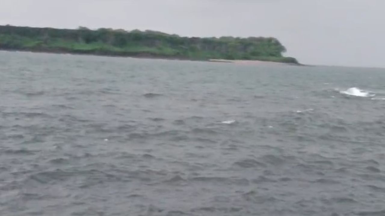 समुद्रात अनेक चकित करणारे जीव राहतात. संपूर्ण जमीन गिळंकृत करण्याची शक्ती समुद्राच्या पाण्यात आहे. पण हाच समुद्र कधीकधी आपल्याला काही महत्त्वाचे संकेत देतो. 