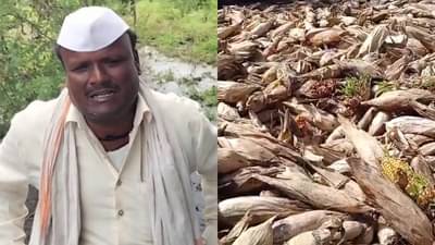 कर्ज फिटेल म्हणून शेतीसाठी जास्त खर्च केला अन् एका पावसाने... शेतकऱ्यांच्या डोळ्यातील अश्रू थांबेना