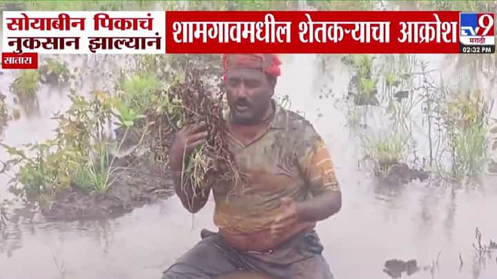 Satara Flood : मुख्यमंत्री साहेब आमच्याकडे जरा लक्ष द्या, नाहीतर आम्ही... सोयाबीन पिकाचं नुकसान झाल्यानं शेतकऱ्याचा आक्रोश Satara Flood : मुख्यमंत्री साहेब आमच्याकडे जरा लक्ष द्या, नाहीतर आम्ही... सोयाबीन पिकाचं नुकसान झाल्यानं शेतकऱ्याचा आक्रोश