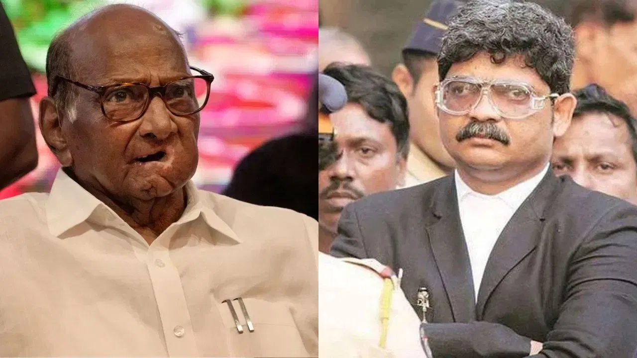 शरद पवार-उद्धव ठाकरेंकडून आंदोलकांना मदत, जरांगेंच्या आंदोलनाची शाहीन बागच्या आंदोलनाशी तुलना, सदावर्तेंचे कोर्टात आरोप काय? शरद पवार-उद्धव ठाकरेंकडून आंदोलकांना मदत, जरांगेंच्या आंदोलनाची शाहीन बागच्या आंदोलनाशी तुलना, सदावर्तेंचे कोर्टात आरोप काय?