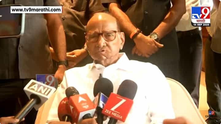 Sharad Pawar | नाशिकला राष्ट्रवादीचे शिबीर का? शरद पवारांनी सांगितलं कारण... Sharad Pawar | नाशिकला राष्ट्रवादीचे शिबीर का? शरद पवारांनी सांगितलं कारण...