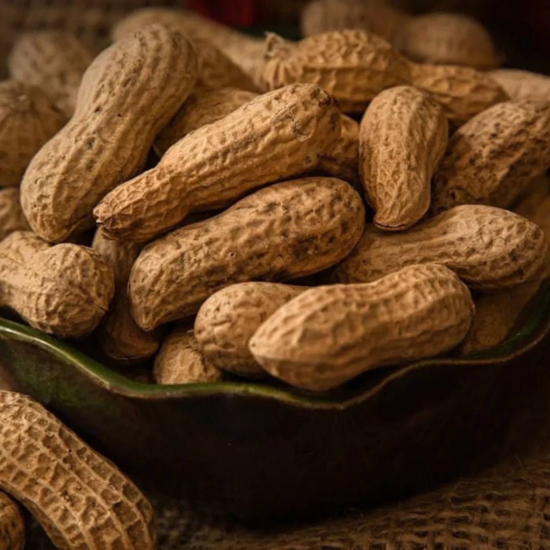 भुईमुगाच्या शेंगांमधील पोषक तत्वांबद्दल बोलायच झाल्यास हेल्थलाइननुसार,  100 ग्रॅम कच्चा शेंगांमध्ये 567 कॅलोरी, 6.5% वॉटर, 25.8 ग्राम प्रोटीन, 16.1 कार्ब्स, 4.7 शुगर, 8.5 फायबर आणि 15.56 ग्राम ओमेगा-6 सह बायोटिन, कॉपर, नियासिन, फोलेट, मॅगनीज, विटामिन ई, फास्फोरस आणि मॅग्नेशियम सारखे मिनरल आणि न्यूट्रिएंट्स असतात.  (Photo Credit : Pexels )