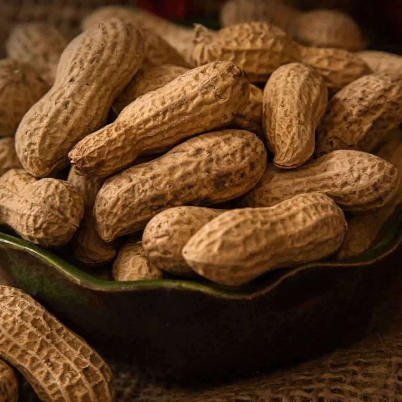 भुईमुगाच्या शेंगांमधील पोषक तत्वांबद्दल बोलायच झाल्यास हेल्थलाइननुसार,  100 ग्रॅम कच्चा शेंगांमध्ये 567 कॅलोरी, 6.5% वॉटर, 25.8 ग्राम प्रोटीन, 16.1 कार्ब्स, 4.7 शुगर, 8.5 फायबर आणि 15.56 ग्राम ओमेगा-6 सह बायोटिन, कॉपर, नियासिन, फोलेट, मॅगनीज, विटामिन ई, फास्फोरस आणि मॅग्नेशियम सारखे मिनरल आणि न्यूट्रिएंट्स असतात.  (Photo Credit : Pexels )