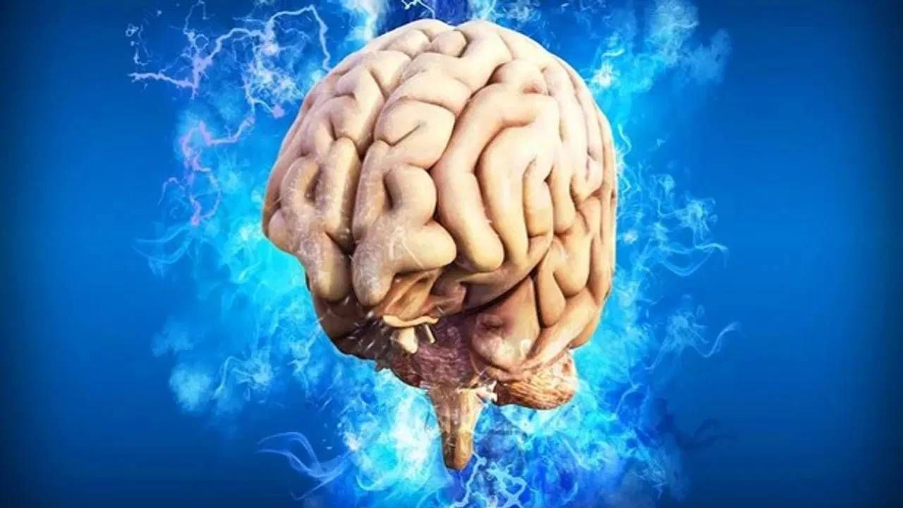 सिगारेट केवळ फुफ्फुसांसाठीच नाही तर शरीराच्या या भागांसाठी देखील धोकादायक आहे. सिगारेट ओढल्यामुळे अनेक गंभीर आजार देखील होऊ शकतात. 