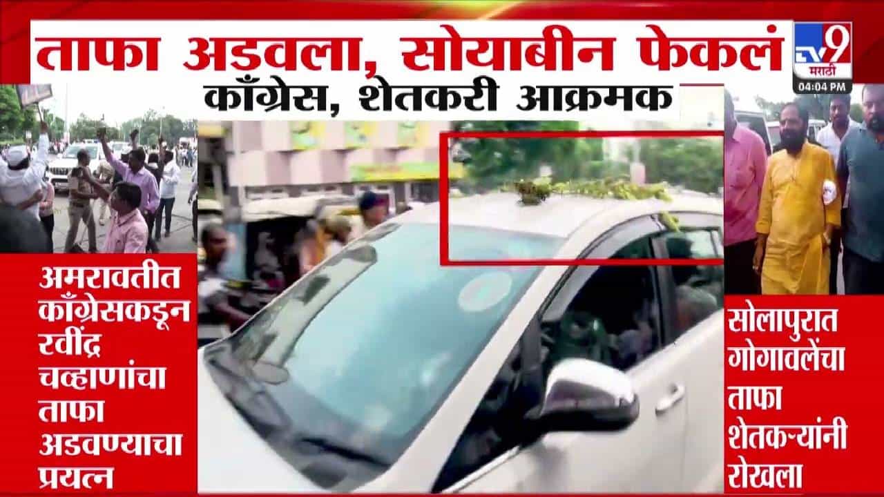 मंत्र्याचा ताफा अडवला अन् काँग्रेस कार्यकर्त्यांनी सोयाबीन फेकलं... अमरावती, सोलापुरात बघा काय घडलं?