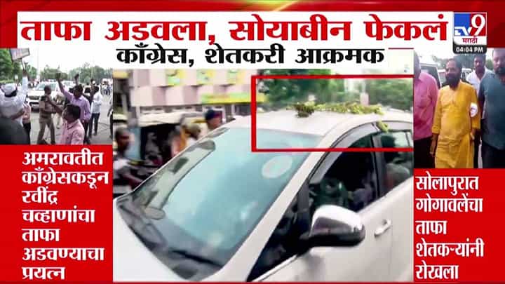 मंत्र्याचा ताफा अडवला अन् काँग्रेस कार्यकर्त्यांनी सोयाबीन फेकलं... अमरावती, सोलापुरात बघा काय घडलं? मंत्र्याचा ताफा अडवला अन् काँग्रेस कार्यकर्त्यांनी सोयाबीन फेकलं... अमरावती, सोलापुरात बघा काय घडलं?