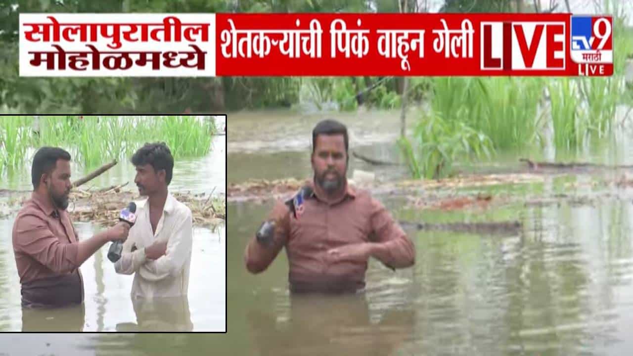 Solapur flood :  सोलापुरात पावसाचं थैमान.. मोहोळमध्ये पुराचा फटका... कंबरे ऐवढं पाणी... पुराच्या पाण्यात पीक गेले वाहून