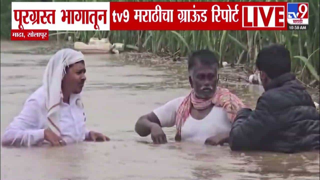 Solapur flood :  सोलापूरच्या माढ्याला पावसानं झोडपलं, शेतपीकं पाण्याखाली अन् शेतकरी संकटात, पूरग्रस्त भागातून tv9 चा रिपोर्ट