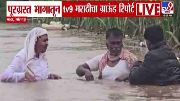 Solapur flood : सोलापूरच्या माढ्याला पावसानं झोडपलं, शेतपीकं पाण्याखाली अन् शेतकरी संकटात, पूरग्रस्त भागातून tv9 चा रिपोर्ट
