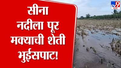 Solapur Flood : सीना नदीच्या पुरानं बळीराजा उद्ध्वस्त, पिकाचं नुकसान अन् शेतकरी हवालदिल